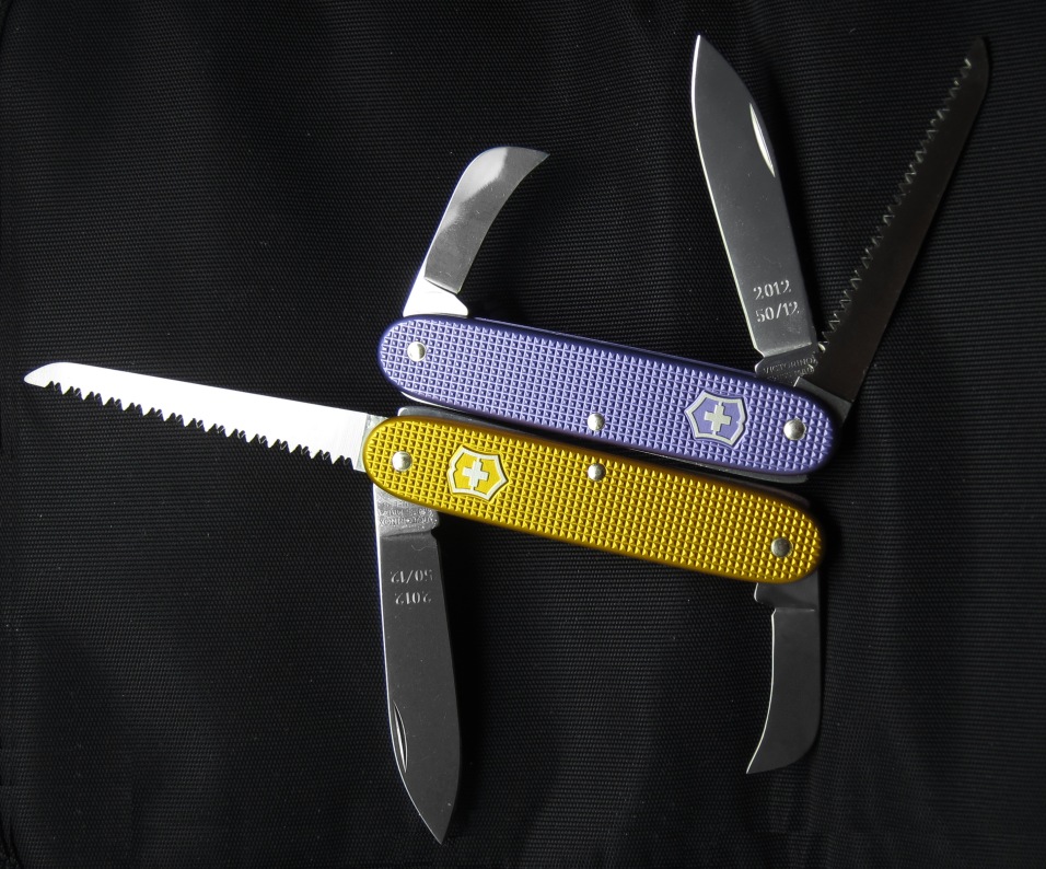 956x794_Victorinox Wilderness - Gold and Violet.jpg