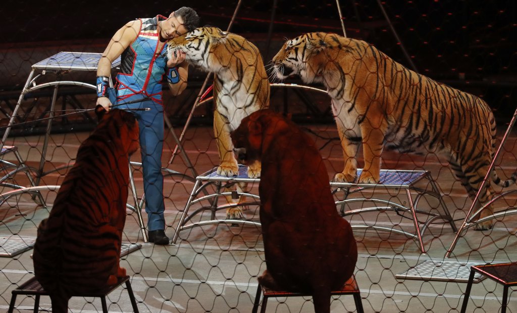 aptopix-ringling-bros-final.jpg