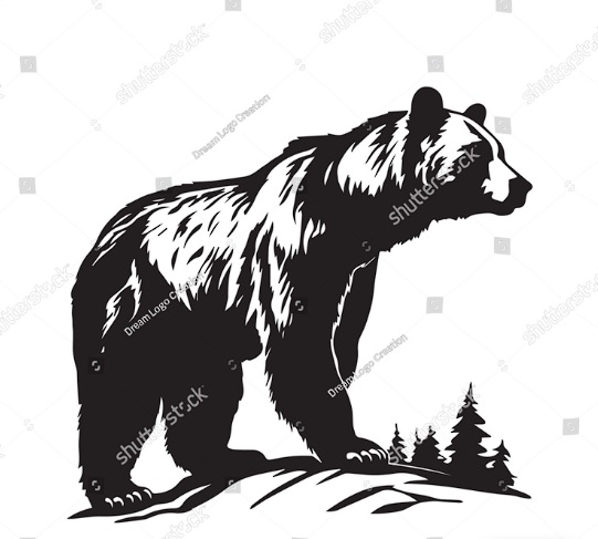 bear1.jpg