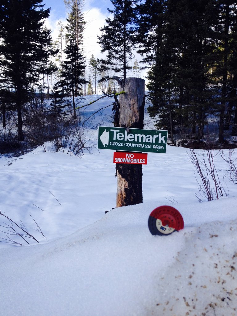 Bogart - Nordic ski trails near Crystal Mountain in Kelowna, BC, CANADA.jpg