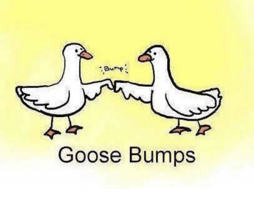 bunp-goose-bumps-26193095.png