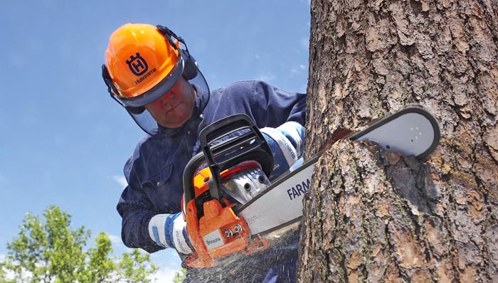 chainsaw-safety-hero.jpg