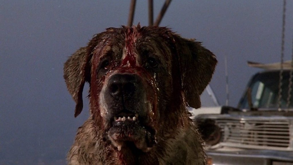 cujo.jpg