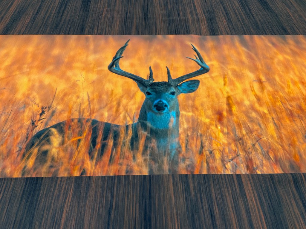 Deer on fire (1).JPG