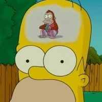 homer-simpson-dumb-brains_169.jpg