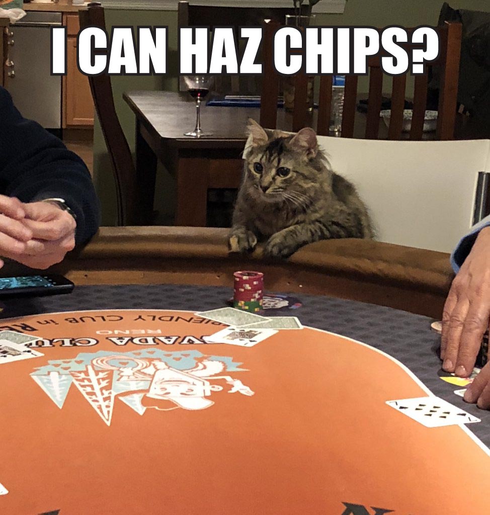 i can haz chips.jpg