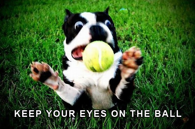 keep-your-eyes-on-the-ball-and-get-it.jpg