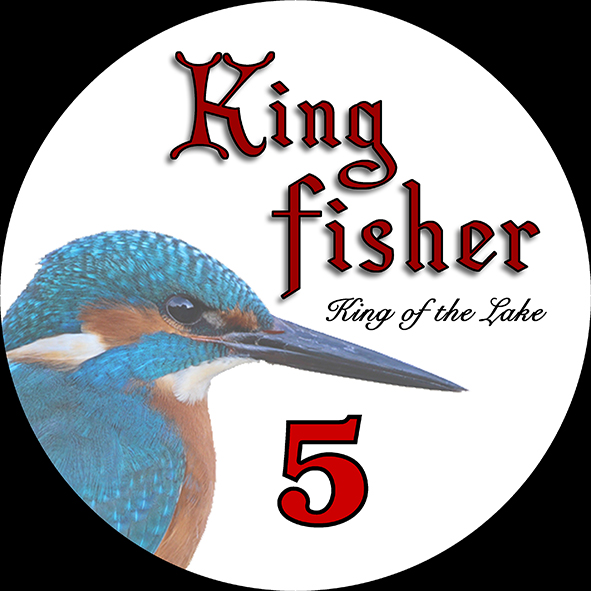 Kingfisher_.jpg