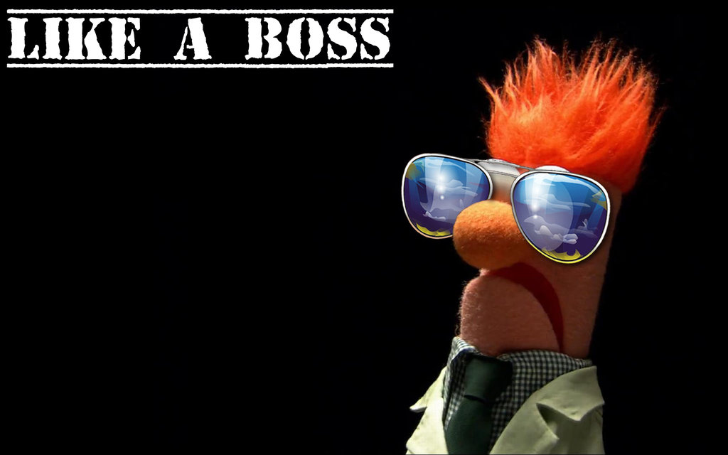 LIKE-A-BOSS.jpg