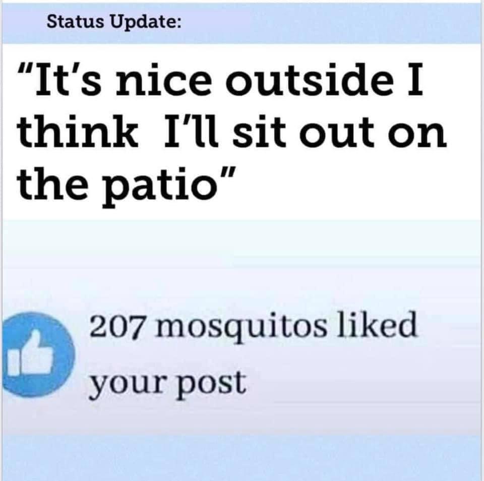 mosquito meme.jpeg