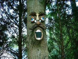 MrTree.jpg