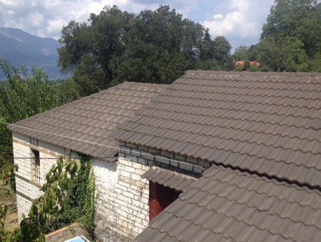 Pesta roof.jpg