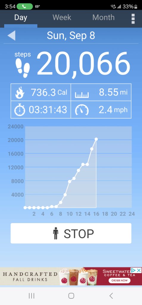 Screenshot_20240908_155454_Pedometer.jpg