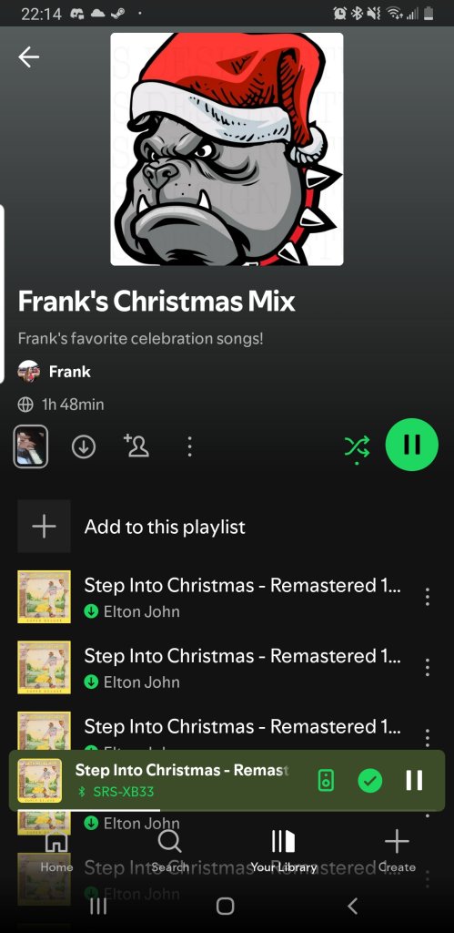 Screenshot_20241221-221412_Spotify.jpg