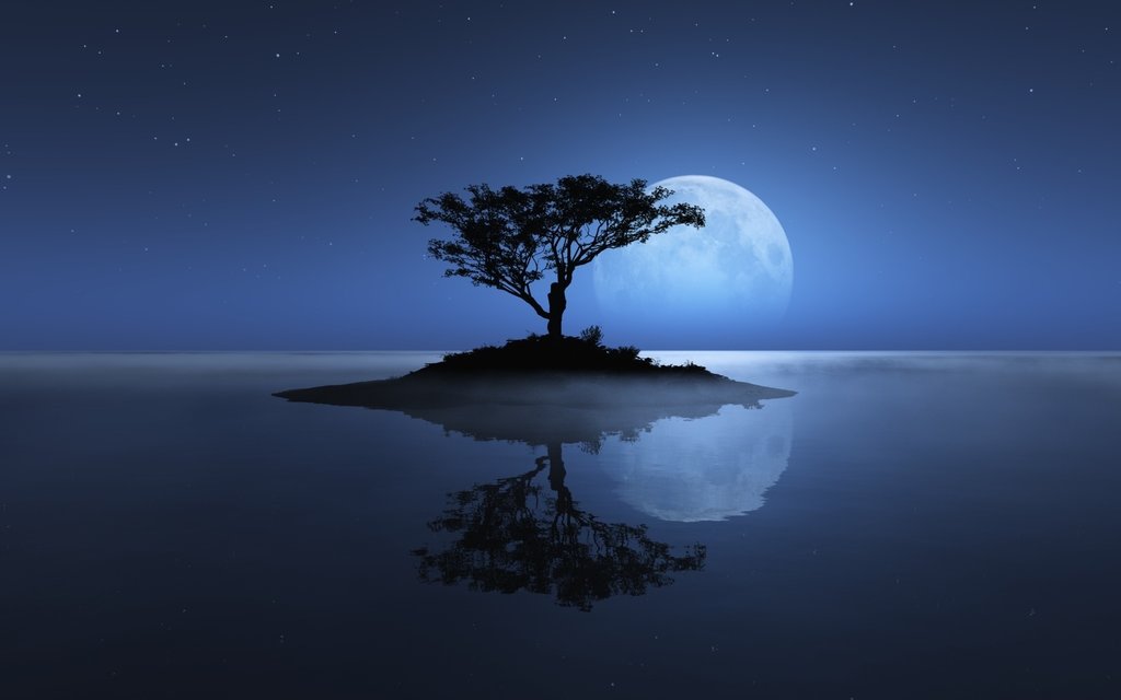 tree-sea-moon-reflection-island-stars-night-water-ocean-shadownature.jpg