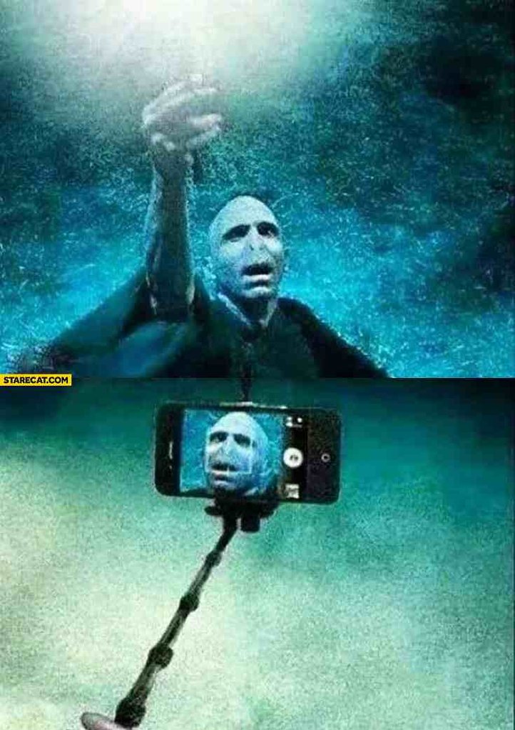 voldemort-selfie-stick.jpg