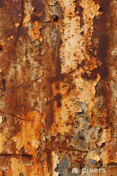 wall-murals-rusty-metal-weathered.jpg.jpg