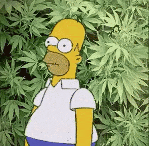 weed-4201.gif