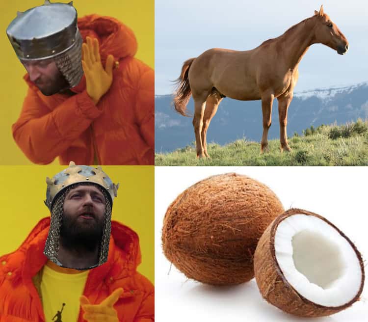 who-needs-a-horse-when-you-have-coconuts-photo-u1.jpeg