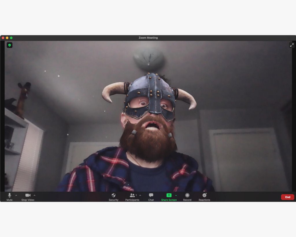 zoom-viking.jpg