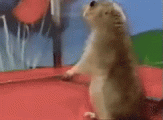 chipmunk-dramatic.gif