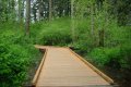 Noble_Woods_Park_boardwalk.JPG