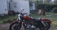 Sportster06.gif