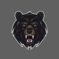 growling-grizzly-bear-head-vector-illustration-on-isolated-homogeneous-background.jpg