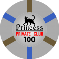 Princess-T100-ChipAndLabel.png