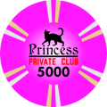 Princess-T5000.png