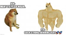 MK doge.jpg