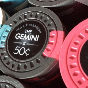 TheGemini-07