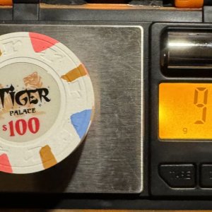 Tiger Palace Secondary $100